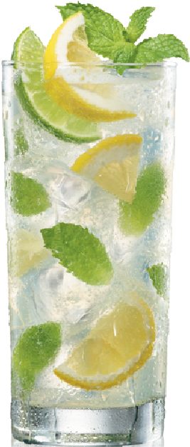 Lemon Mint Mojito